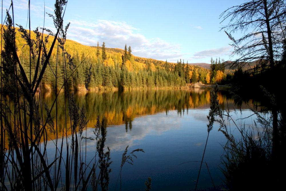 Chena Hot Springs Resort Fairbanks Exteriör bild