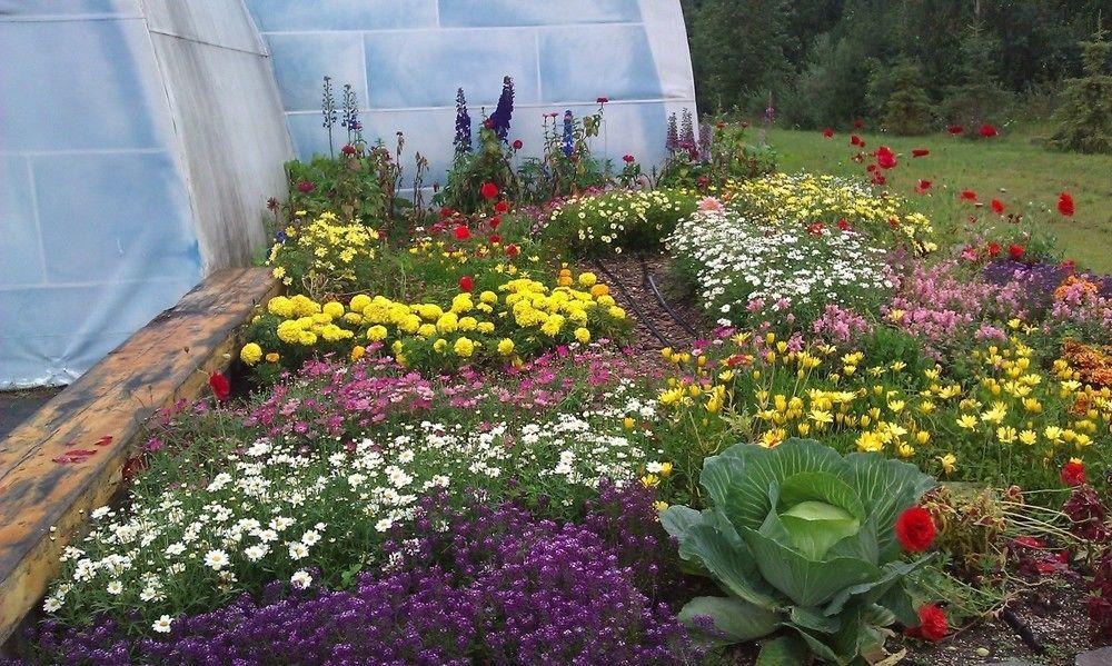 Chena Hot Springs Resort Fairbanks Exteriör bild