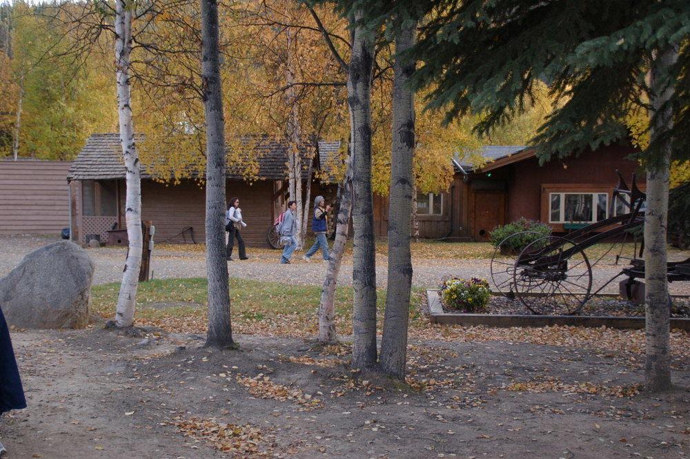 Chena Hot Springs Resort Fairbanks Exteriör bild