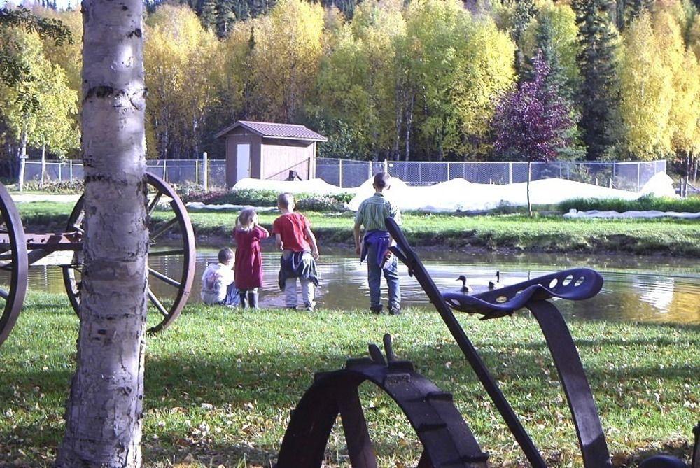 Chena Hot Springs Resort Fairbanks Exteriör bild