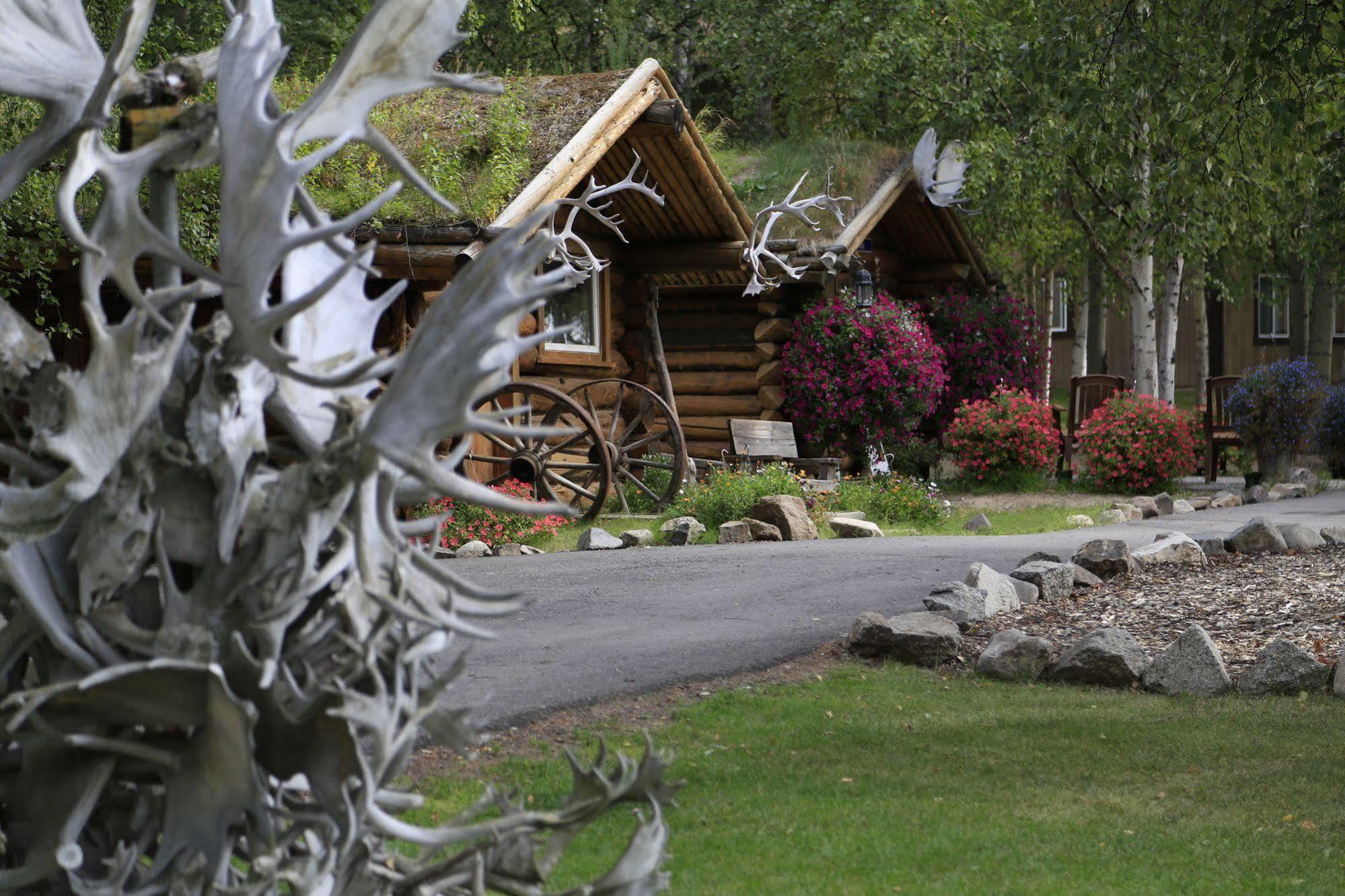 Chena Hot Springs Resort Fairbanks Exteriör bild